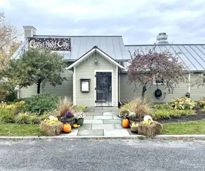 Fall time at Starry 